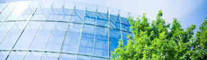 Glass building with green tree in front